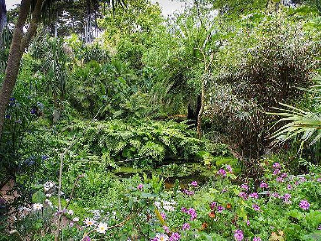 130 Ile de Batz Jardin Georges Delaselle_000025.jpg